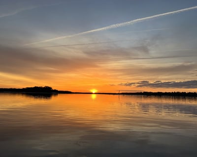 Port Royal Sunset Cruise with Dolphins