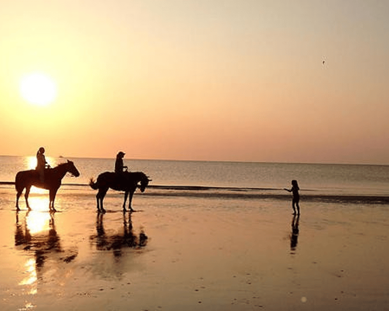 Private Sunset Horseback Ride on Jekyll Island