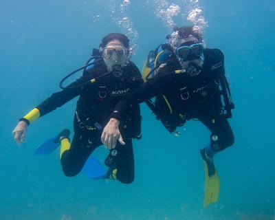 Guided 2-Tank Wreck & Reef Dive in Key West