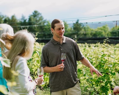 Sustainable Vineyard Tour & Wine Tasting in Lodi