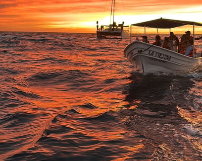 Sunset Land's End Cruise in Cabo San Lucas