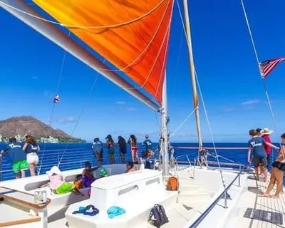 Snorkel Turtle Canyon on a Private Waikiki Sail