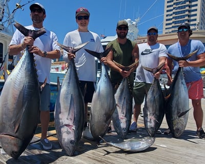 Point Pleasant Tuna Fishing Charter