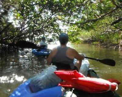 1-Hour Kayak & Paddleboard Rental in Bonita Springs