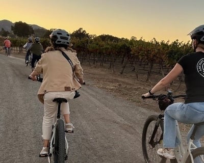 Paso Robles 2.5-Hour E-Bike Vineyard Tour & Tasting