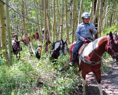 1-Hour Mountain Trail Horseback Ride in Bishop
