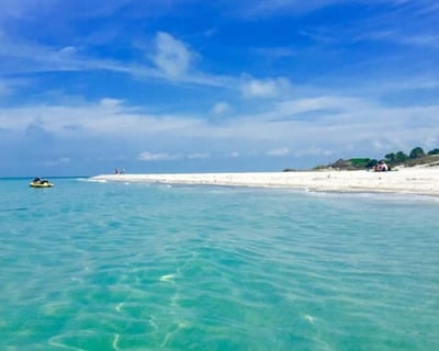 4-Hour Private Charter to Egmont Key State Park