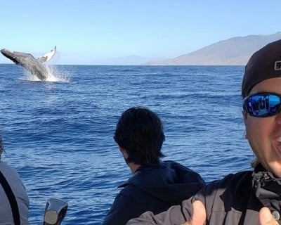 Maui Whale Watching Tour