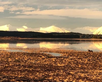 Explore Juneau on a Private 3-Hour Guided Tour