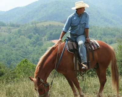 Scenic Mountain Views on 2-Hour Horseback Ride
