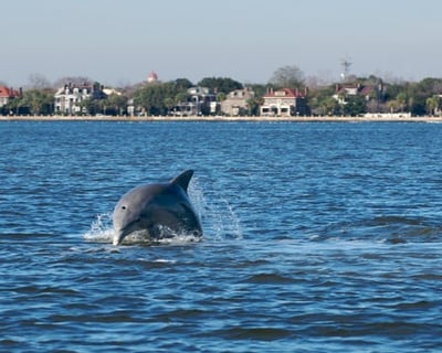 Charleston Harbor Sunset Cruise