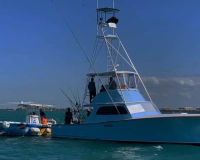 4-Hour Fishing Charter in Islamorada