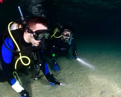 Guided Night Dive at Blue Heron Bridge