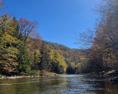 East Branch Clarion River 7-Mile Paddle