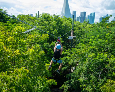 Aerial Adventure at Jungle Island