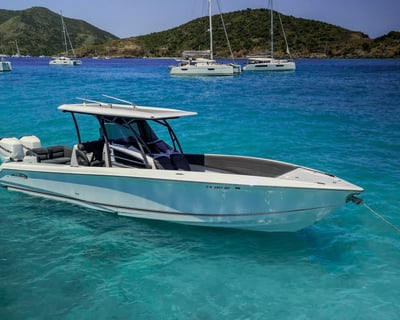 Full-Day British Virgin Islands Charter