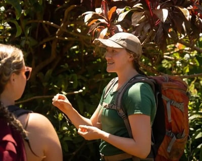 Waterfall Hiking Tour in Maui