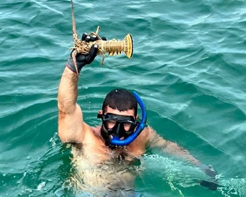 Lobster Fishing Charter in Key West