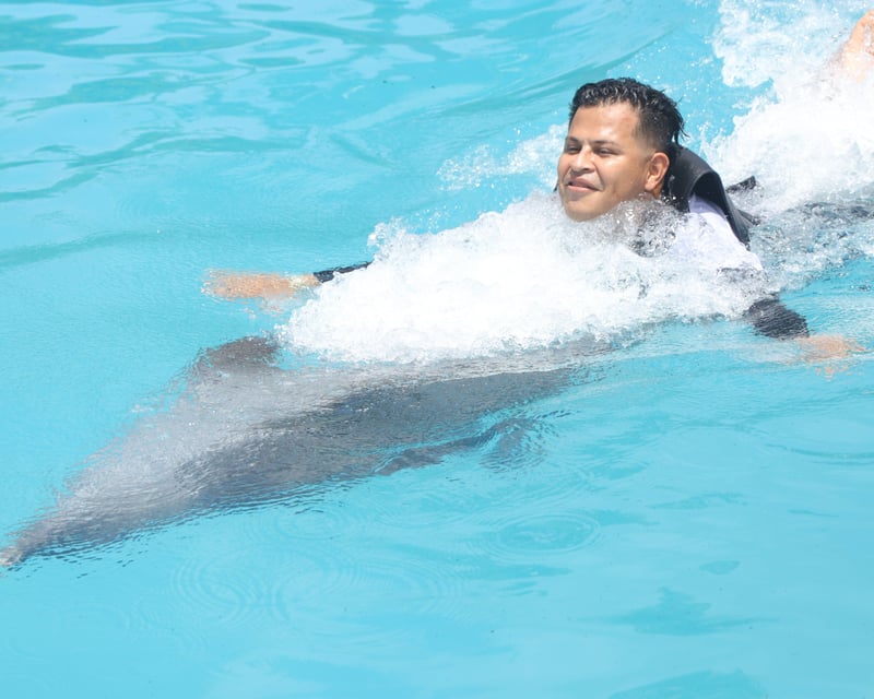 Cancun Dolphin Swim with Belly Ride & Kiss