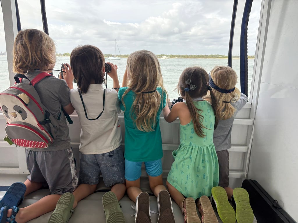 Dolphin And Wildlife Adventure Island Breeze