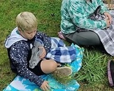 Bunny Snuggle Session in Portsmouth