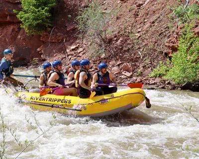 Telluride Half-Day Rafting on the San Miguel River