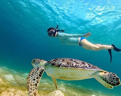 1.5-Hour Snorkel Tour in San Juan
