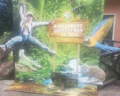 Rainforest Canopy Tour in Gros Islet