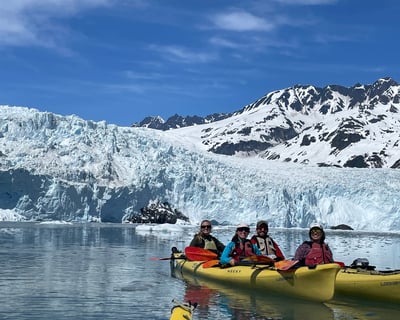 Paddle Past Calving Glaciers & Alaskan Wildlife