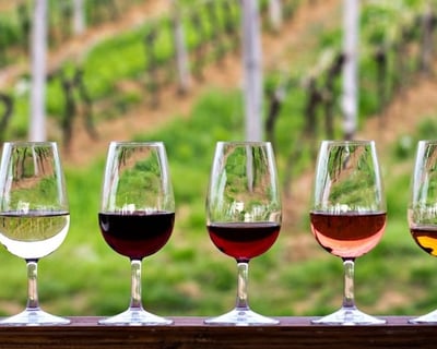 Half-Day Hill Country Wine Shuttle