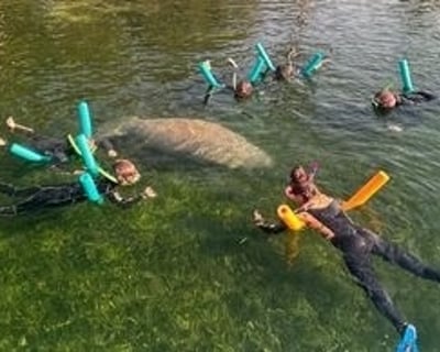 Manatee Swim Tour in Crystal River