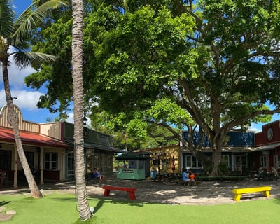 9-Hour Guided Tour of Oahu's North Shore