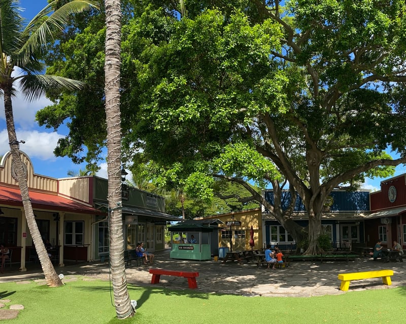 9-Hour Guided Tour of Oahu's North Shore