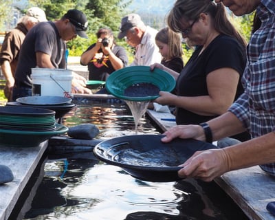 Seward Gold Panning: Find & Keep Real Flakes