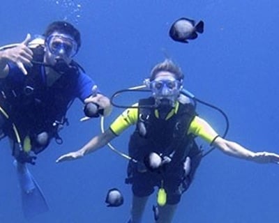 1.5-Hour Certified Shore Dive in Wailea