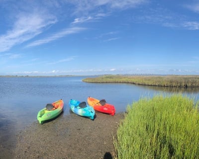 Guided Roanoke Island Lost Colony Kayak & SUP Tour