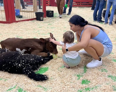 Animal Petting at Tacoma Indoor Petting Zoo