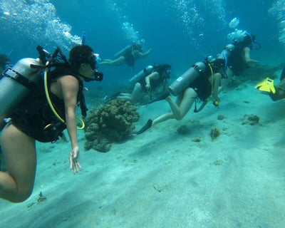 First-Time Guided Scuba Dive in San Juan
