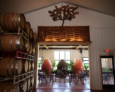 Guided Wine Tasting & Winery Tour in North Cape May