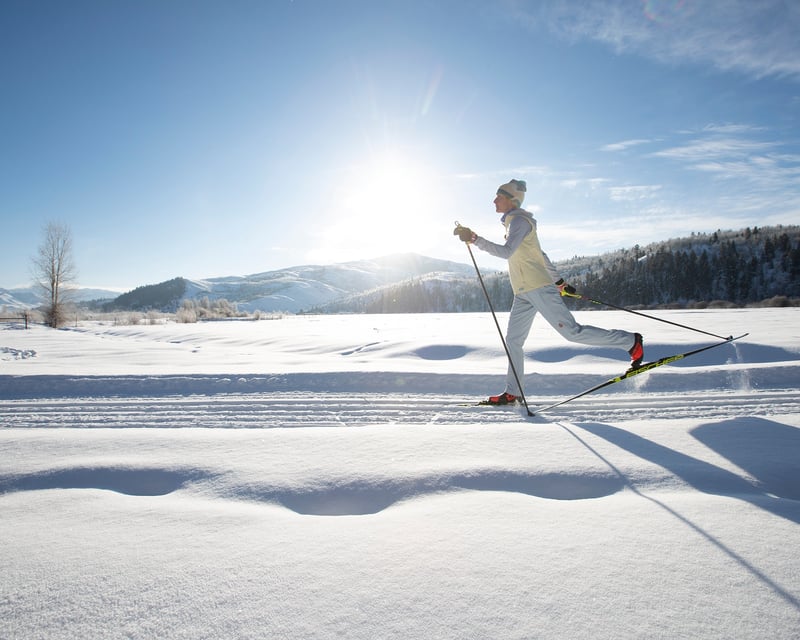 Jackson Hole Cross-Country Ski Tour
