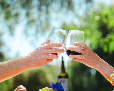 Private Wine Tasting Tour in Santa Ynez