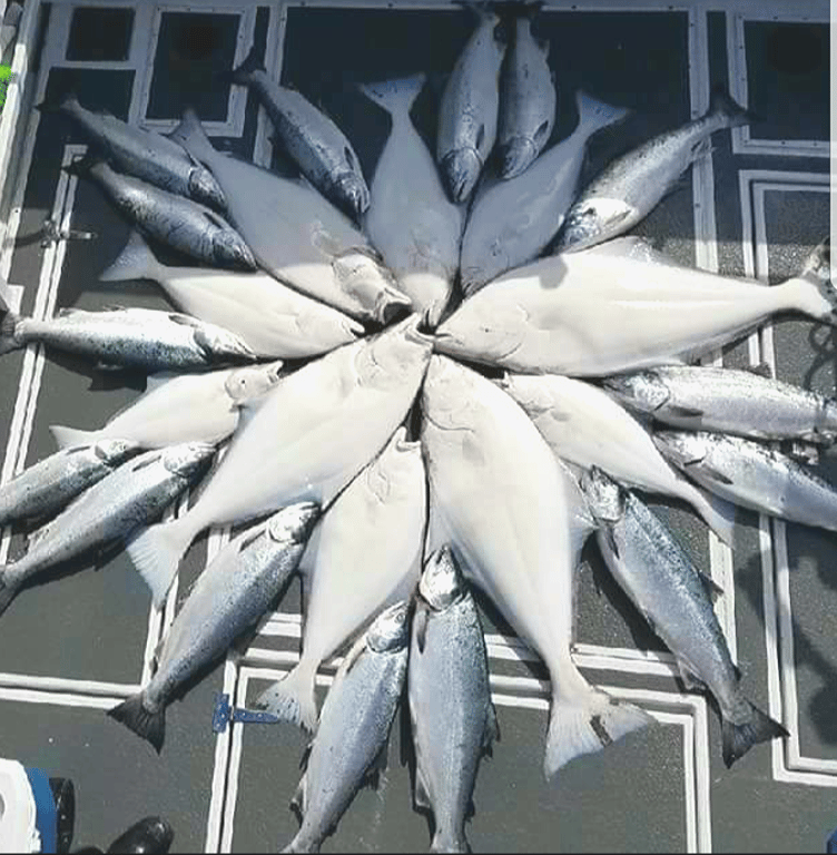 42' Catamaran Halibut Charter in Soldotna