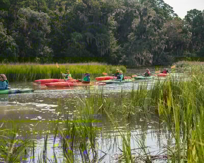 Salt Marsh Kayaking with Captain Stories & Boat