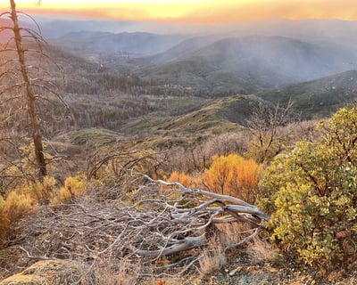 Sunset BBQ & Stargazing Tour Near Yosemite