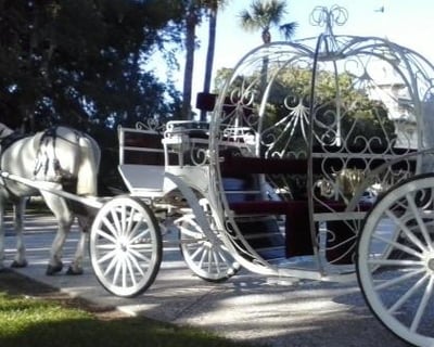 Historic Carriage Tour of Jekyll Island