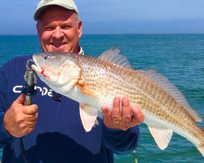Fish Offshore on a 5.5-Hour Charter in Hilton Head