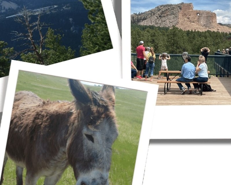 Full-Day Mount Rushmore & Southern Black Hills Tour