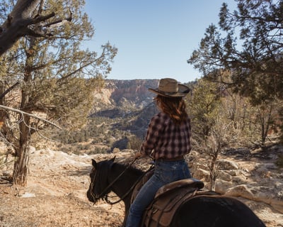 2-Hour Horseback Ride in Mt Carmel