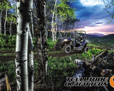 Telluride Half-Day RZR Tour