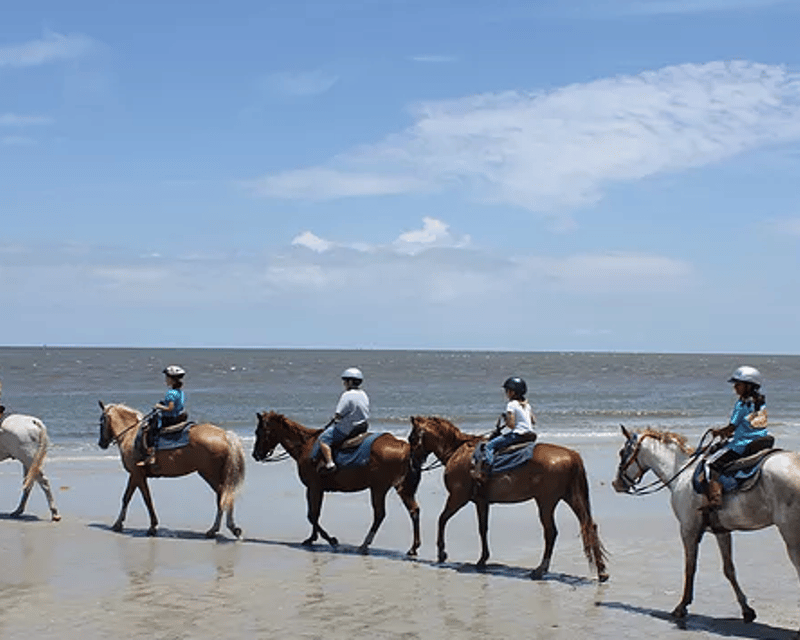 Private Horseback Beach Ride on Jekyll Island